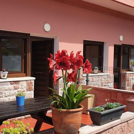 Apartamentos Fermin Onís المظهر الخارجي الصورة
